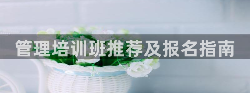 龙8国际ing