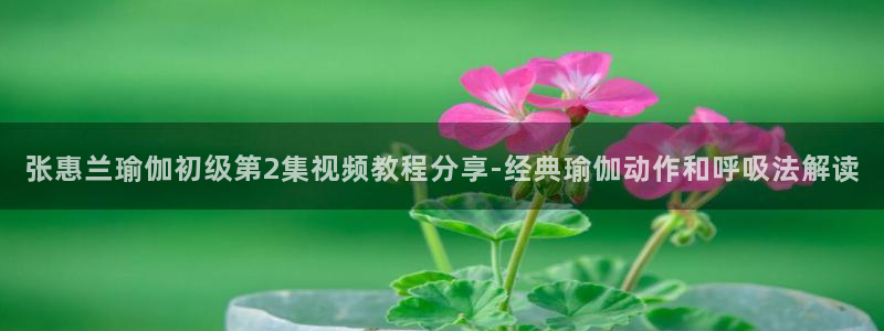 国际龙8官网pt客户端