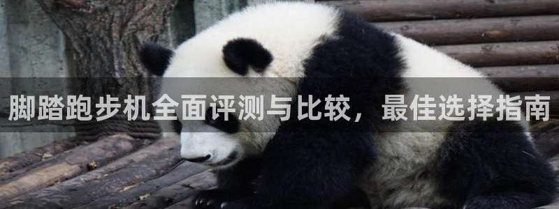 龙8国际游戏