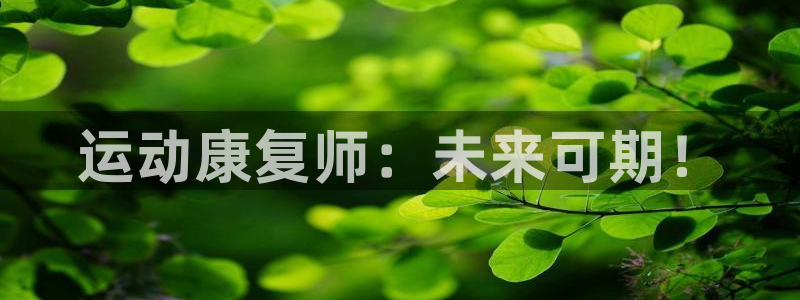 龙8手机游戏官网