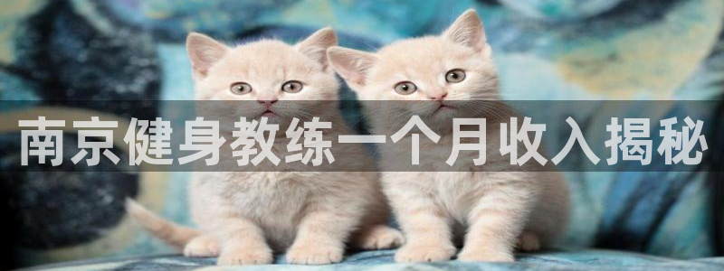 龙8国际登录地址