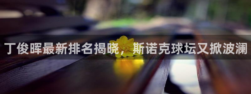 龙八国际网页