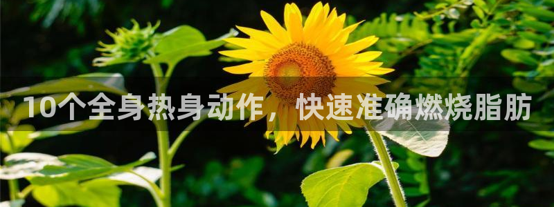 龙八国际娱乐在线游戏