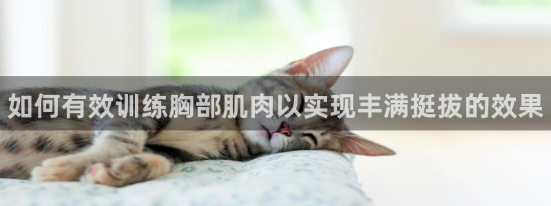 龙8国际手机登录官网
