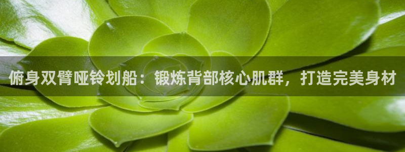 龙8国际在线