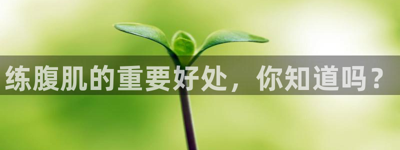 龙8国际网页登陆