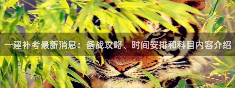 龙8国际手机版下载