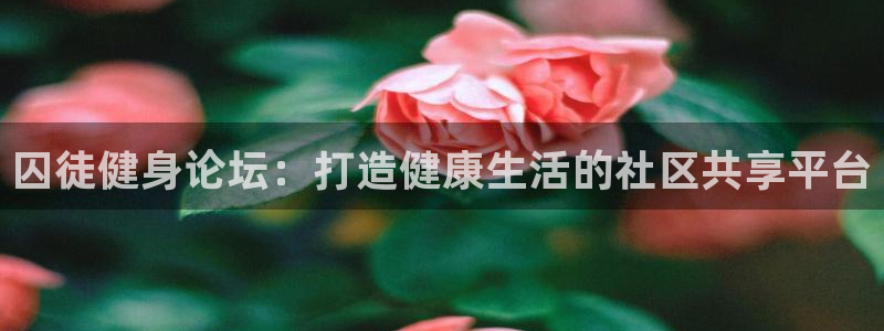 龙八国际服官网站