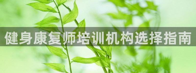龙8国际网站