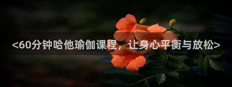 龙八国际官网下载
