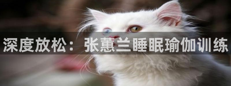 龙8游戏平台的网站