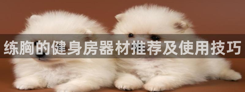 龙八国际官网下载