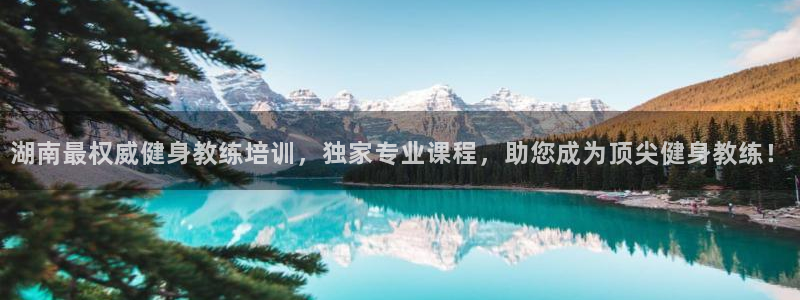 龙8游戏平台官方