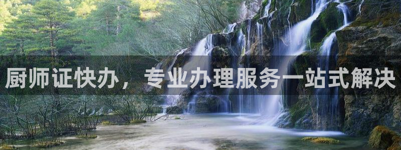 龙八国际手机客户端