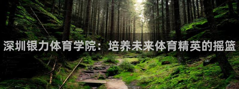 龙8国际网站怎么样