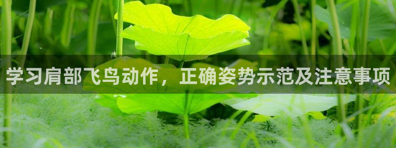 龙8国际为啥改名叫头号玩家了呢