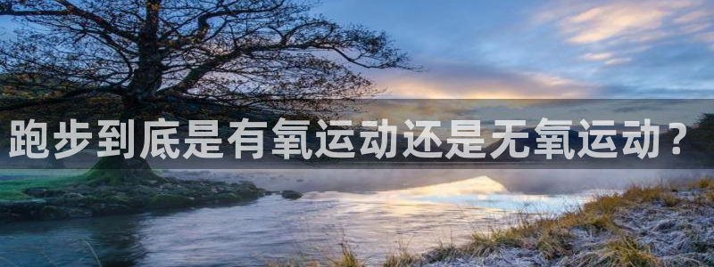 下载龙八国际