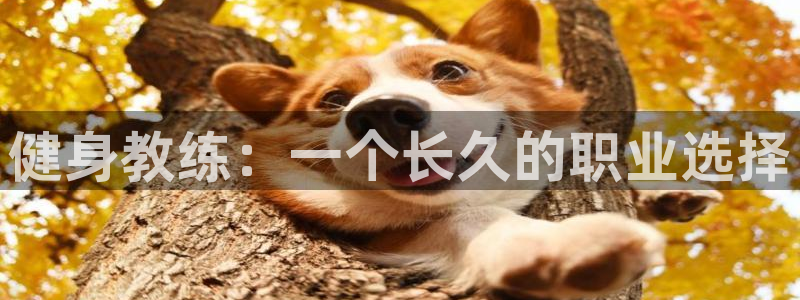 龙八国际app客户下载
