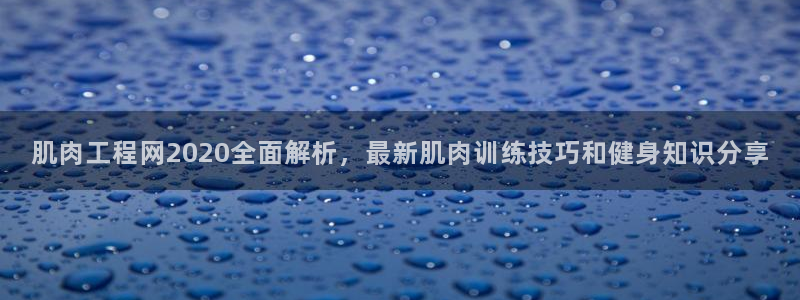 龙8游戏平台的网站