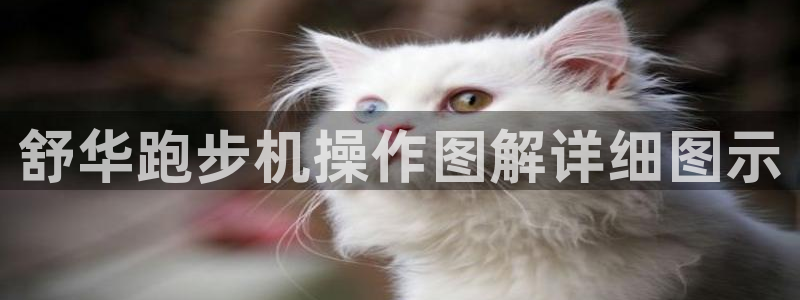 龙8国际手机登