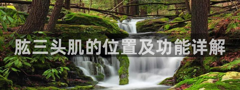 龙8官网游戏