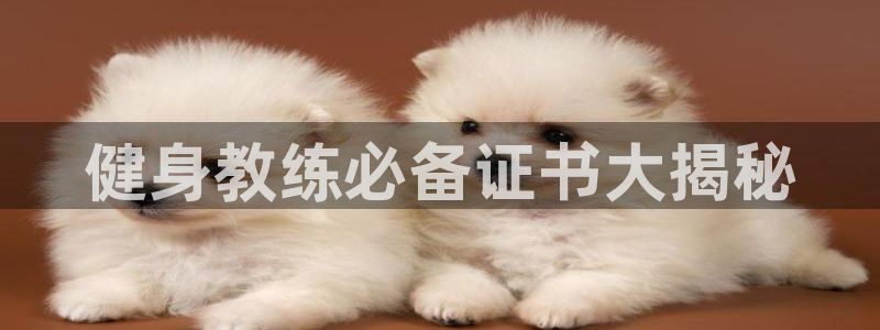 龙8国际备用