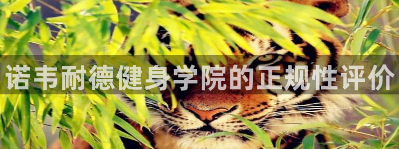 龙8国际游戏官方网站