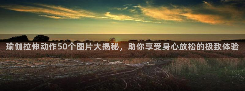 龙8游戏入口