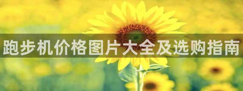 龙8国际官方网址