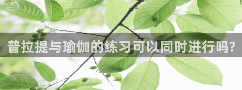 龙8国际的漏洞