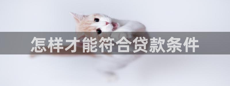 龙8国际app下载安装