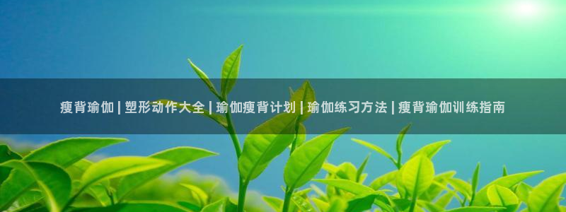 龙8国际平台官网