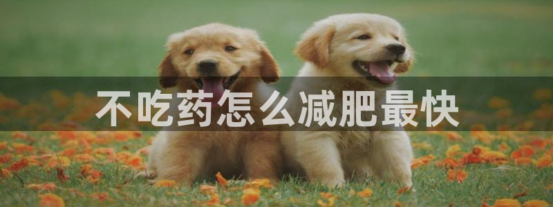 龙8国际平台提款被黑
