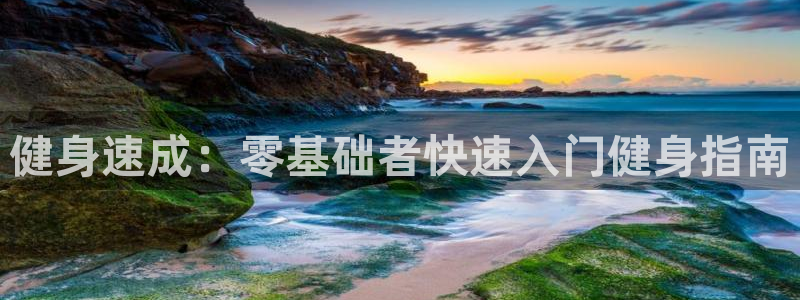 龙8国际官方网
