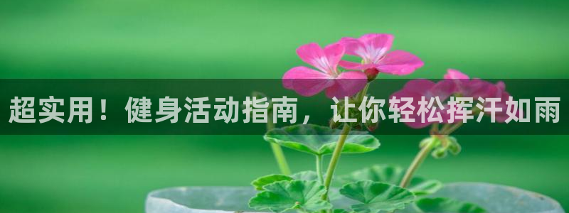 龙8国际为啥改名叫头号玩家了呢