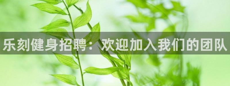 龙8国际long123