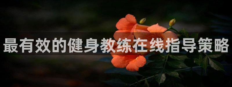 龙8国际pt官方网址