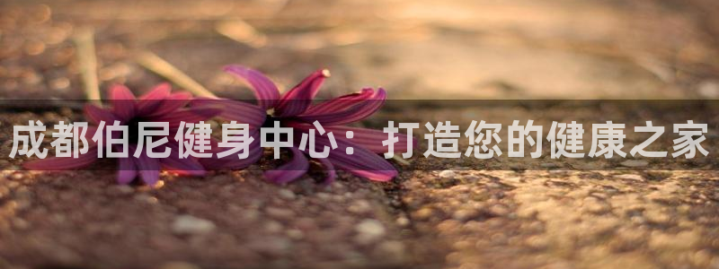 龙8国际是什么电影