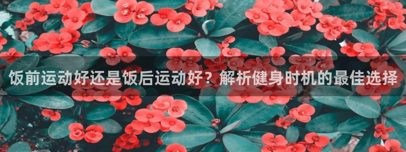 龙8官网在线试玩
