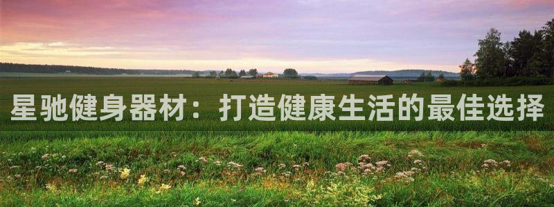 龙8国际网页版