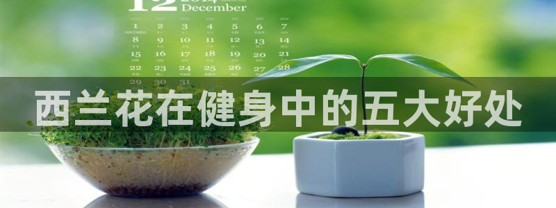 龙8游戏客户端
