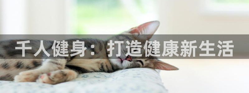 下载龙八国际官网