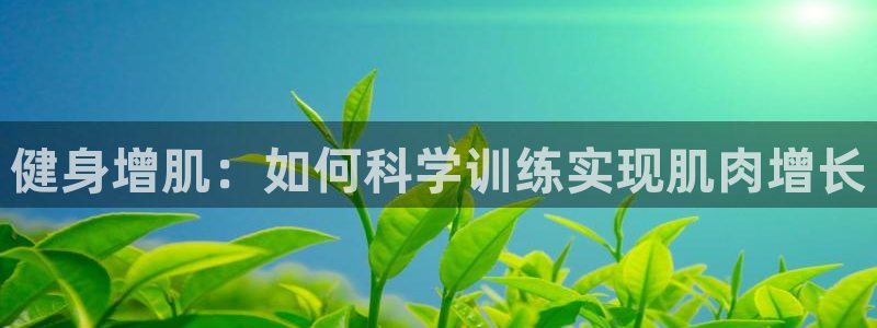 龙8国际app下载客户端