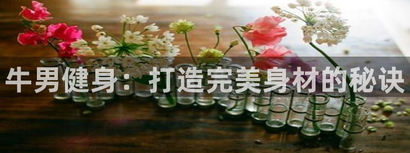 龙8国际游戏官网