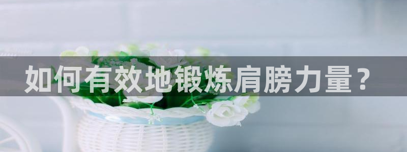 龙8老虎机手机版