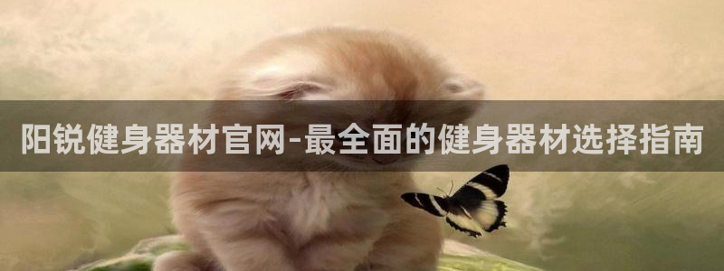 龙8国际pt官方网址