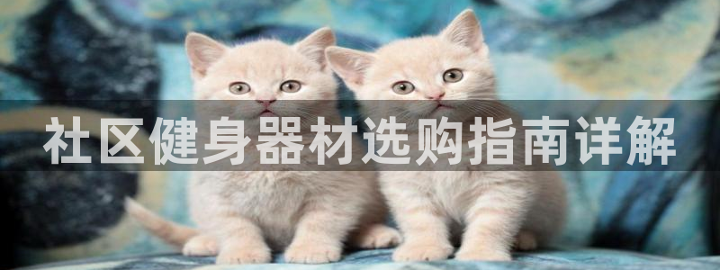龙8国际官网官方版fxzls天地手游 -kc -安卓