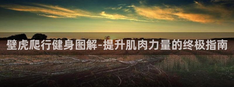 龙8国际app官网下载