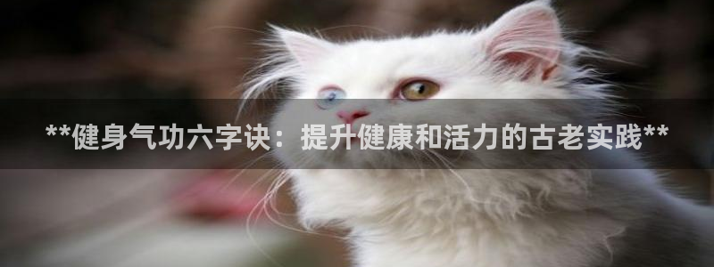 龙8官网老虎机游戏主页