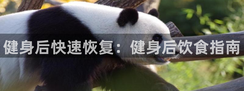 龙8国际官方网站龙8国际pt老虎机